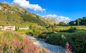 Alpine flowers next to a mountain stream, houses and the mountain panorama in the background