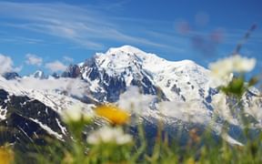 The Mont Blanc