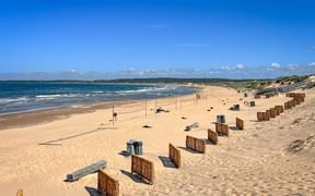 Tylösand Strand mit Reihen geflochtener Windschutzwände auf goldenem Sand, Dünen rechts und blauem Meer unter klarem Himmel.