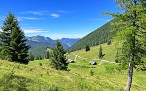 Alpine landscape at the Niedergadenalm Alpine landscape at the Niedergadenalm