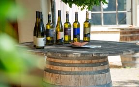 Wine bottles during tasting