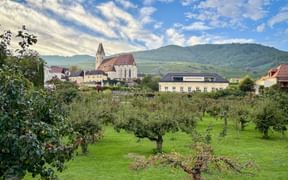 Spitz im Herzen der Wachau Spitz im Herzen der Wachau