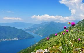 View over the bay of Kotor during your hike