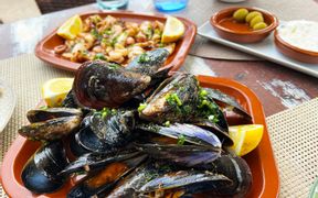 Tapas: Mussels and grilled octopus with aioli