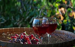 Merlot
