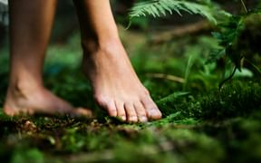 Barefoot hiking in the forest
