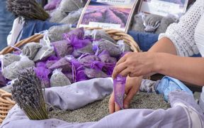 Getrocknete Lavendelblüten in großen Säcken, Lavendelblüten werden händisch in kleine Duftsäckchen abgefüllt