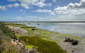 Barra Velha Beach in Naturpark Ria Formosa