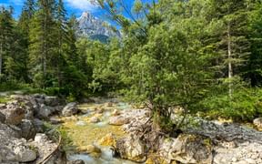 Stream in the Julian Alps