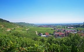 Panoramablick über Kaysersberg