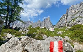 Panoramablick auf dem Dachstein Rundweg