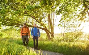 Wanderung Gotaleden in besonderem Licht