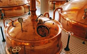 Brew kettle