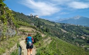Hiker on the Merano High Mountain Trail