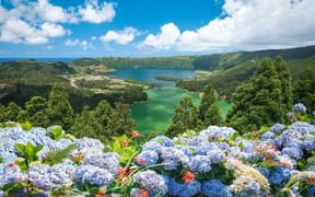 Vista do Rei Aussichtspunkt mit Blick auf die Zwillingskraterseen von Sete Cidades auf den Azoren, mit blauen Hortensien im Vordergrund.