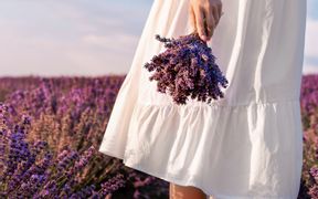 Woman standing in front of a blooming lavender field with a bunch of lavender in her hand