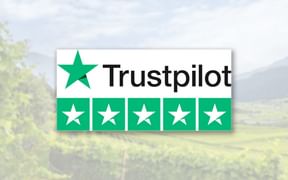 Trustpilot Bewertungen