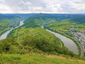 Beautiful vantage point with a view of the Moselle loop