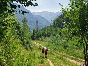 Zwei Wanderer am Forstweg bei der Almwanderung am Wolfgangsee