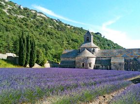 Walking along lavender fields to the monastery Sénanque