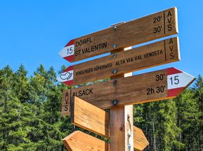 Signpost in front of a wooded background