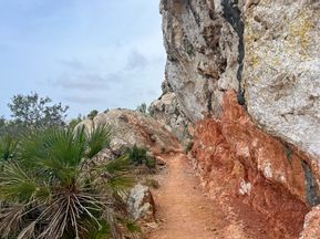 Rocky hiking trail