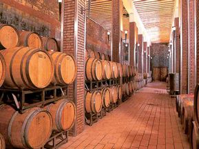 Besuch eines Weinkellers beim Wandern in Istrien