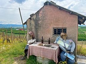 Kleine Hütte in den Weinfeldern