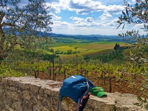 Kurze Rast an einer Steinmauer mit Blick auf die Weinfelder