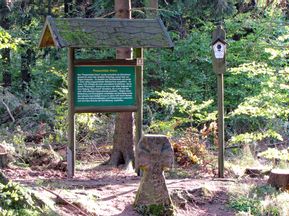 Das Possenröderkreuz am Rennsteig