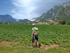 Hiker in front of a field in Gemona with mountain scenery in the background