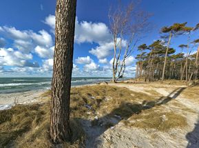 Traumhafter Strand an der Ostsee
