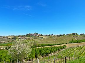 Ausblick auf kleines Dorf mit Weinreben und blauem Himmel