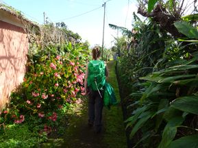 Wanderin zwischen wunderschöner Fauna und Flora auf Madeira