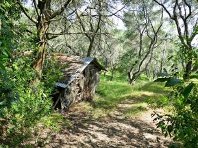 Alte Holzhütte am Olivenhain
