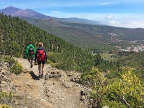Wandern entland des Vulkans in Teide