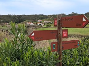 Signposts along the Rota Vicentina