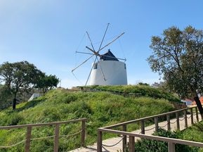 Windmühle beim Wandern im Hinterland des Historischen Weges
