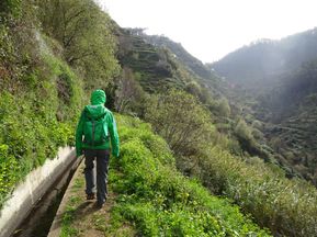 Wanderin in einem fruchtbaren Tal auf Madeira