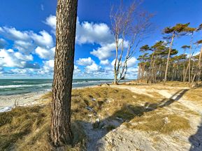 Gorgeous beach at the Baltic Sea