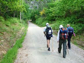Pilgergruppe unterwegs im Wald