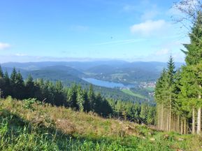Beautiful sea view at the Black Forest