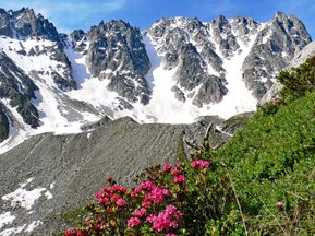 Faszinierendes Wandererlebnis am Mont Blanc