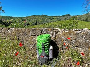 Aussicht auf die Hügellandschaft in Gabbiano