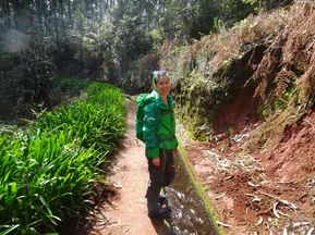 Wanderin auf Wanderweg auf Madeira