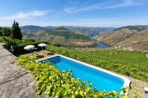 View of the vines with pool