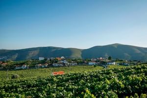 wunderschöner Ausblick auf die Landschaft