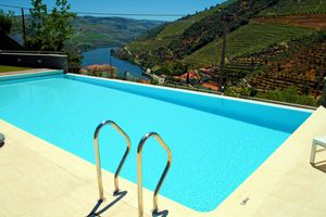 Pool with a view of the vines
