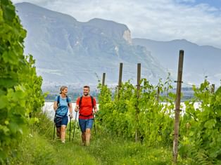 Two hikers walking through green vineyard rows in South Tyrol with dramatic mountain peaks in the background under a blue sky.