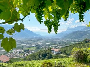 Panoramic view of Tscherms